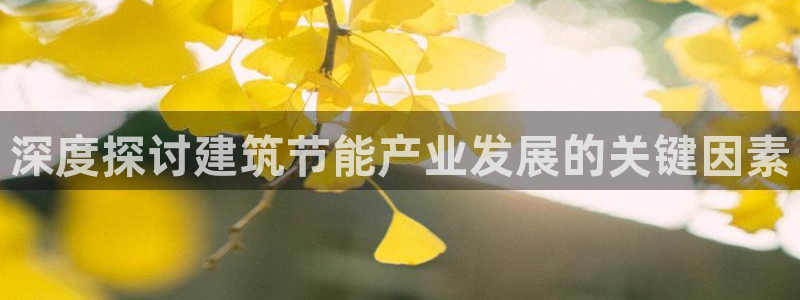 E尊国际网站：深度探讨建筑节能产业发展的关键因素