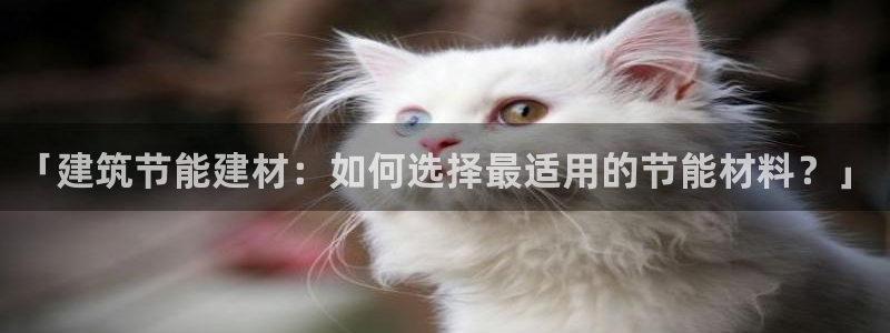 e尊国际官网：「建筑节能建材：如何选择最适用的节能材料？」