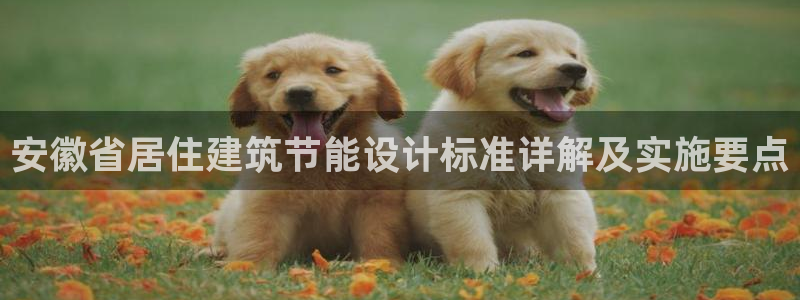 e尊国际客户端