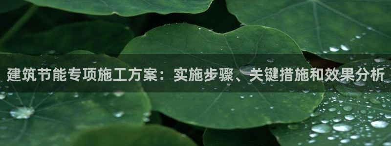 e尊电竞：建筑节能专项施工方案：实施步骤、关键措施和效果分析