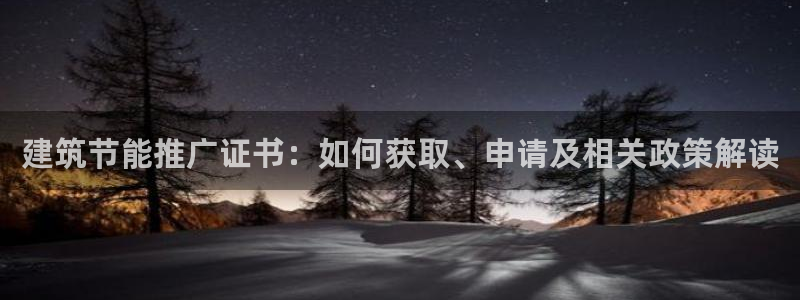 e尊国际app