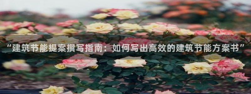 e尊国际地址