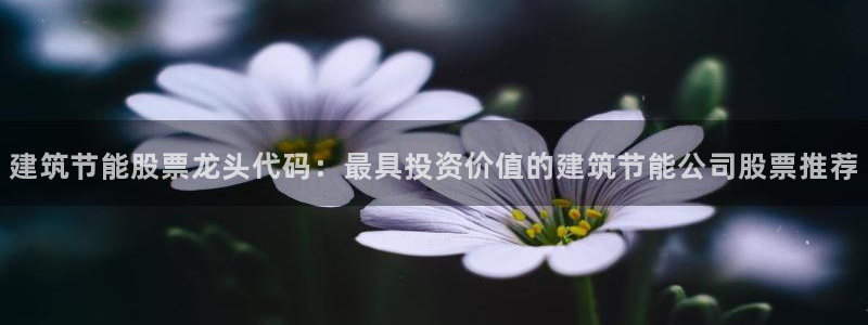 e尊国际可靠吗