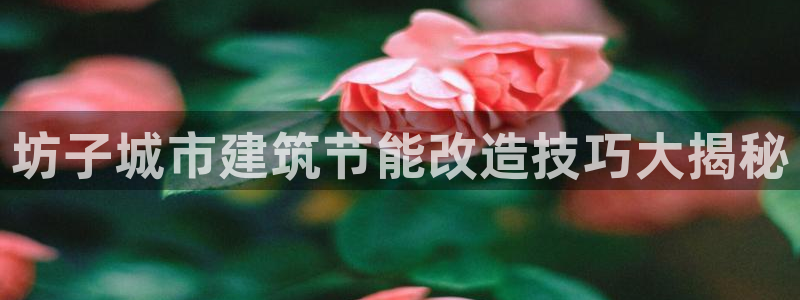 e尊国际是个黑网