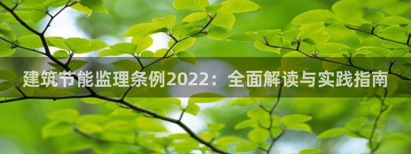 e尊国际app：建筑节能监理条例2022：全面解读与实践指南