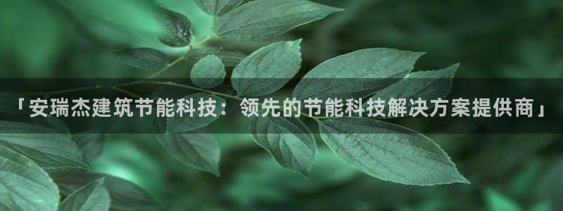 e尊国际娱乐官网地址：「安瑞杰建筑节能科技：领先的节能科技解决方案提供商」