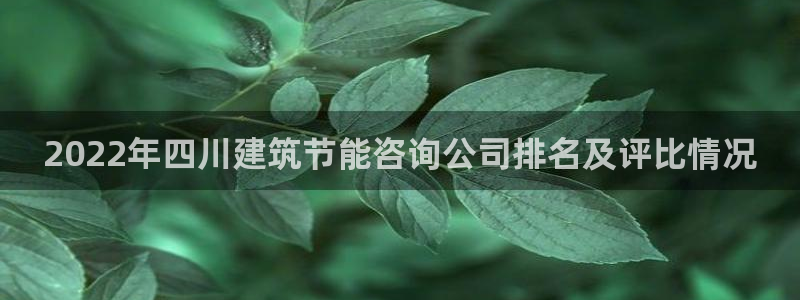 e尊国际客服：2022年四川建筑节能咨询公司排名及评比情况