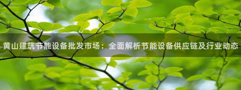 e尊国际客户端下载：黄山建筑节能设备批发市场：全面解析节能设备供应链及行业动态