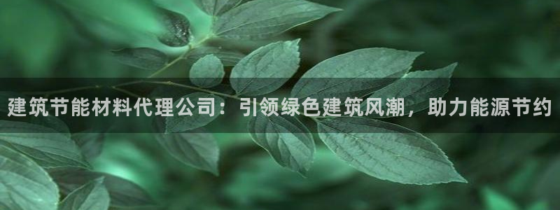 e尊国际官网：建筑节能材料代理公司：引领绿色建筑风潮，助力能源节约