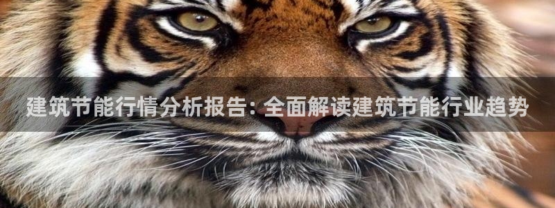 e尊国际客户端下载：建筑节能行情分析报告: 全面解读建筑节能行业趋势