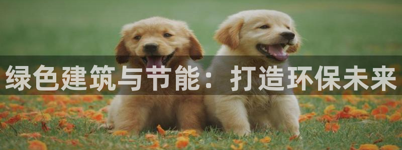 e尊体育：绿色建筑与节能：打造环保未来