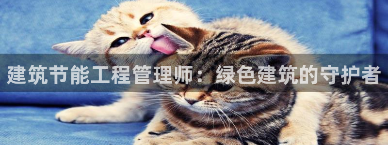 e尊国际可靠吗：建筑节能工程管理师：绿色建筑的守护者