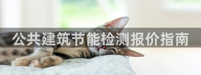e尊国际客户端下载：公共建筑节能检测报价指南
