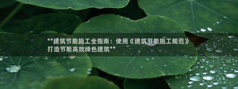 e尊国际娱乐官网地址：**建筑节能施工全指南：使用《建筑节能施工规范》
打造节能高效绿色建筑**