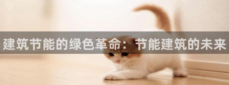 e尊国际app：建筑节能的绿色革命：节能建筑的未来