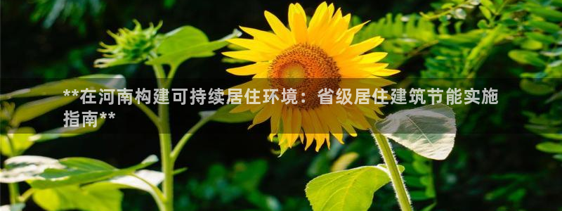 E尊国际：**在河南构建可持续居住环境：省级居住建筑节能实施
指南**