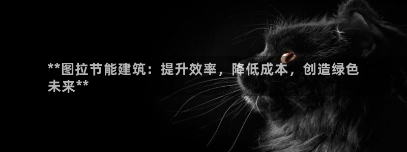 尊亿娱乐国际官网：**图拉节能建筑：提升效率，降低成本，创造绿色
未来**