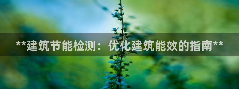 e尊官网：**建筑节能检测：优化建筑能效的指南**