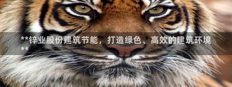 尊亿游戏国际官网：**锌业股份建筑节能，打造绿色、高效的建筑环境
**