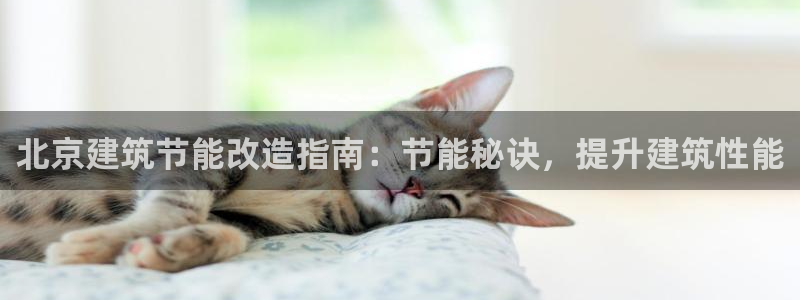e尊国际7779：北京建筑节能改造指南：节能秘诀，提升建筑性能
