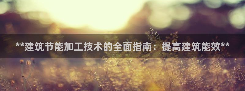 e尊国际平台：**建筑节能加工技术的全面指南：提高建筑能效**