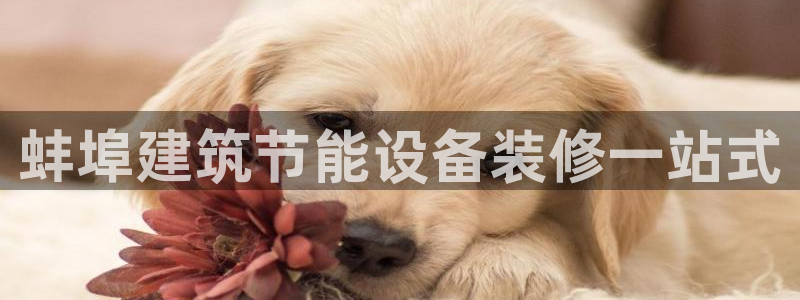 e尊国际娱乐官网地址：蚌埠建筑节能设备装修一站式