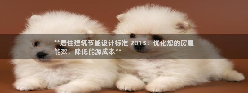 e尊国际app：**居住建筑节能设计标准 2013：优化您的房屋
能效，降低能源成本**