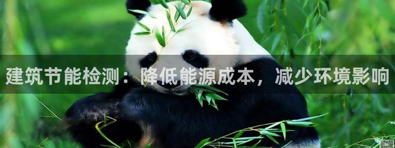 e尊国际官网：建筑节能检测：降低能源成本，减少环境影响