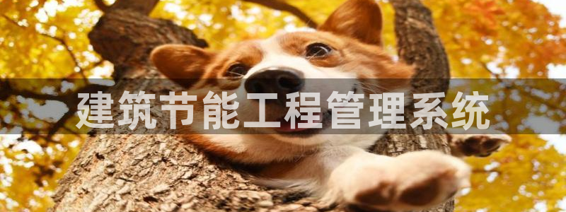 e尊国际的手机登录网站：建筑节能工程管理系统