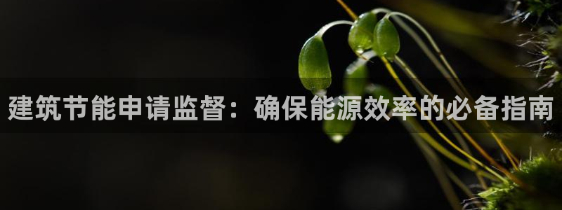 e尊国际官网：建筑节能申请监督：确保能源效率的必备指南