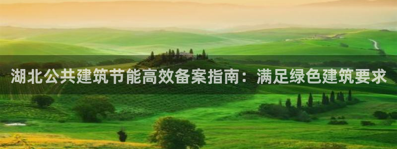 尊亿游戏国际官网：湖北公共建筑节能高效备案指南：满足绿色建筑要求