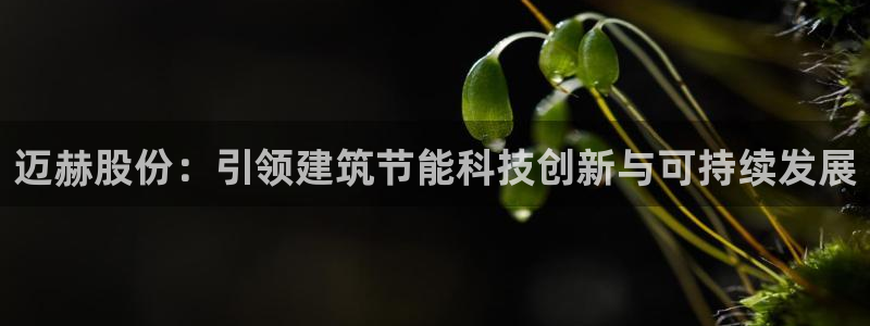 尊亿娱乐国际官网：迈赫股份：引领建筑节能科技创新与可持续发展