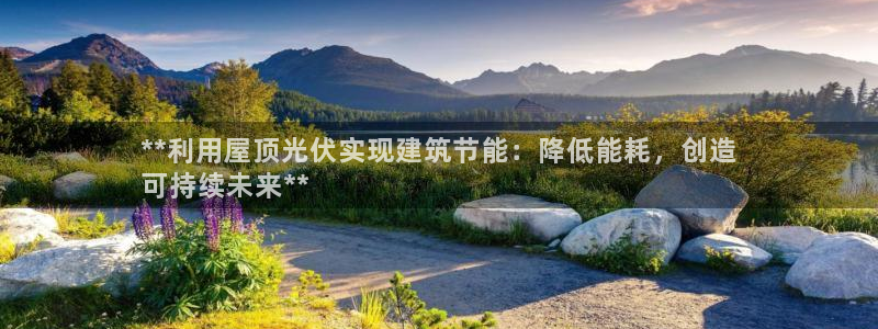 E尊国际：**利用屋顶光伏实现建筑节能：降低能耗，创造
可持续未来**