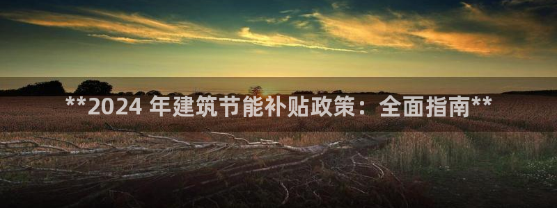 E尊国际：**2024 年建筑节能补贴政策：全面指南**