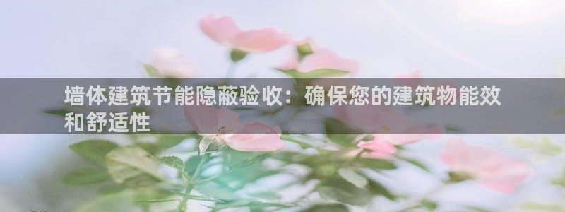 e尊国际官方网站：墙体建筑节能隐蔽验收：确保您的建筑物能效
和舒适性