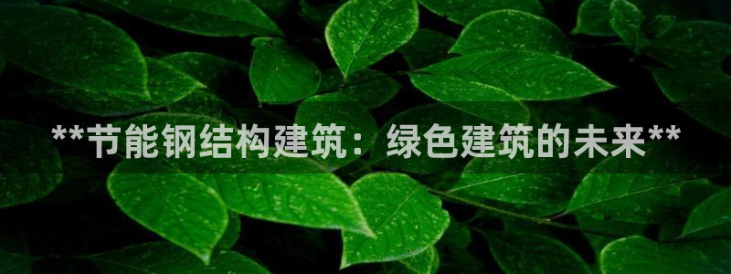 e尊国际官方网站：**节能钢结构建筑：绿色建筑的未来**