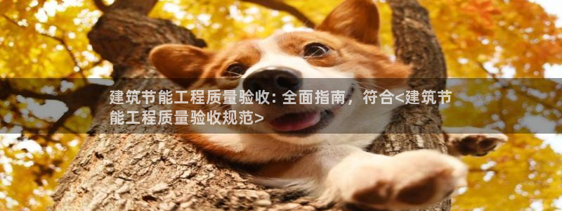 谁知道e尊国际的网址：建筑节能工程质量验收: 全面指南，符合<建筑节
能工程质量验收规范>