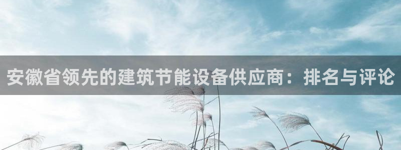 e尊国际可靠吗：安徽省领先的建筑节能设备供应商：排名与评论