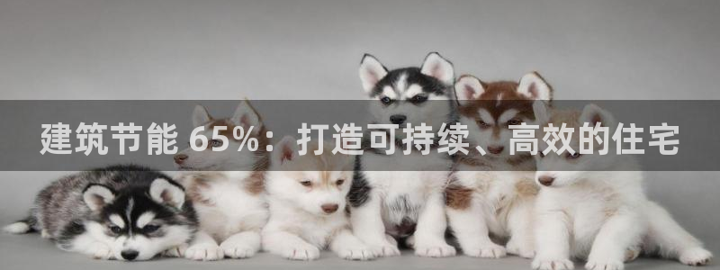 e尊电竞：建筑节能 65%：打造可持续、高效的住宅