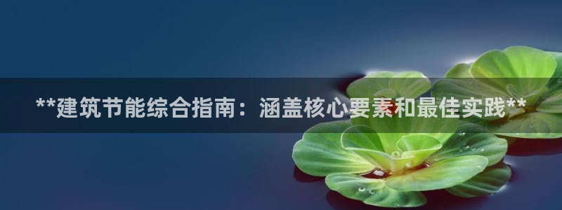 e尊国际是干什么的：**建筑节能综合指南：涵盖核心要素和最佳实践**