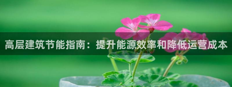 e尊国际的手机登录网站：高层建筑节能指南：提升能源效率和降低运营成本