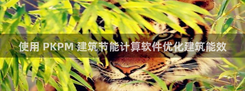 e尊国际可靠吗：使用 PKPM 建筑节能计算软件优化建筑能效
