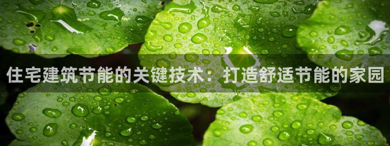 e尊国际可靠吗：住宅建筑节能的关键技术：打造舒适节能的家园