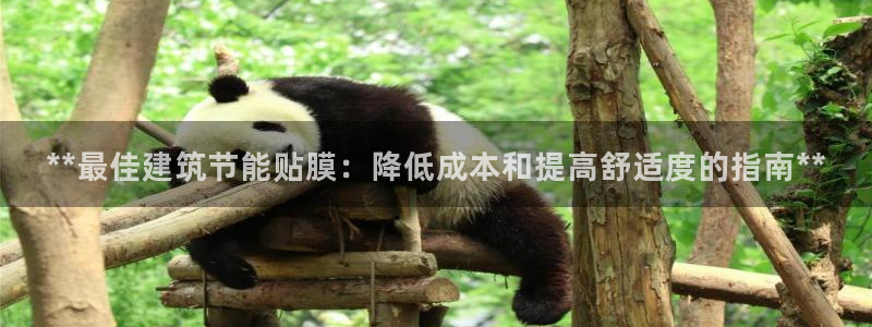 e尊国际客户端：**最佳建筑节能贴膜：降低成本和提高舒适度的指南**