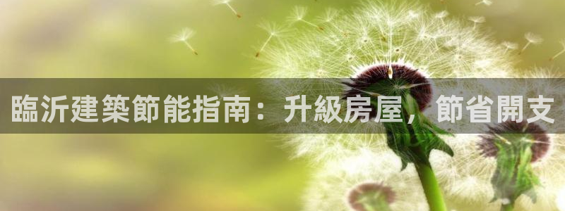 e尊国际客服：臨沂建築節能指南：升級房屋，節省開支