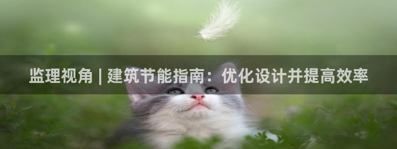 e尊国际平台：监理视角 | 建筑节能指南：优化设计并提高效率