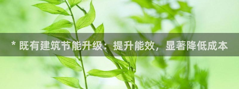 谁知道e尊国际的网址：* 既有建筑节能升级：提升能效，显著降低成本