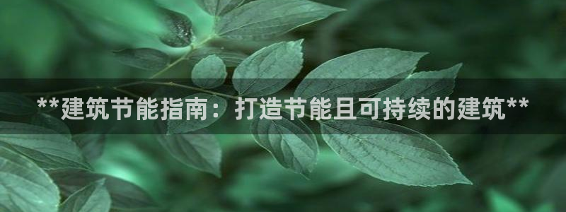 e尊国际官方网站：**建筑节能指南：打造节能且可持续的建筑**