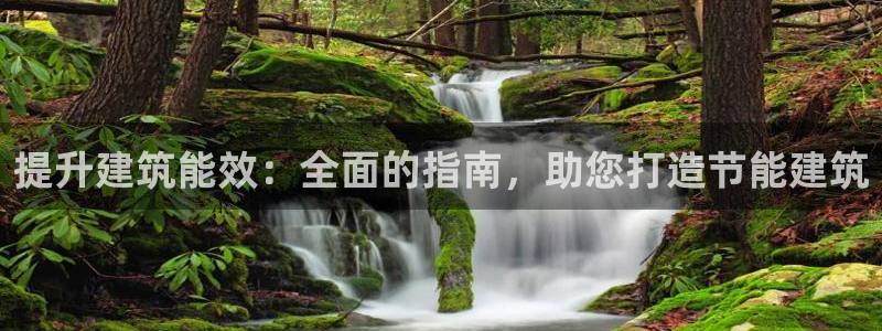 谁知道e尊国际的网址：提升建筑能效：全面的指南，助您打造节能建筑