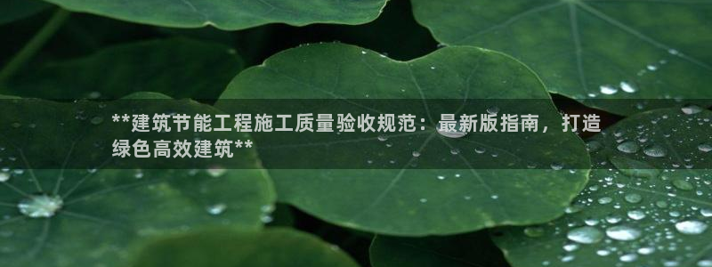 e尊国际官网·网址：**建筑节能工程施工质量验收规范：最新版指南，打造
绿色高效建筑**